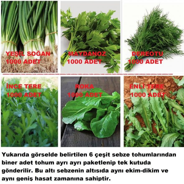 KARIŞIK YEŞİLLİK SEBZE SETİ TOHUMLARI 6 ÇEŞİT SEBZE BİNER ADET ürün görseli 1