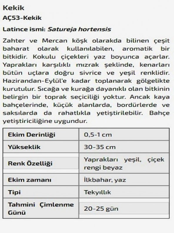 Kekik Çiçeği Tohumu - Resim 2