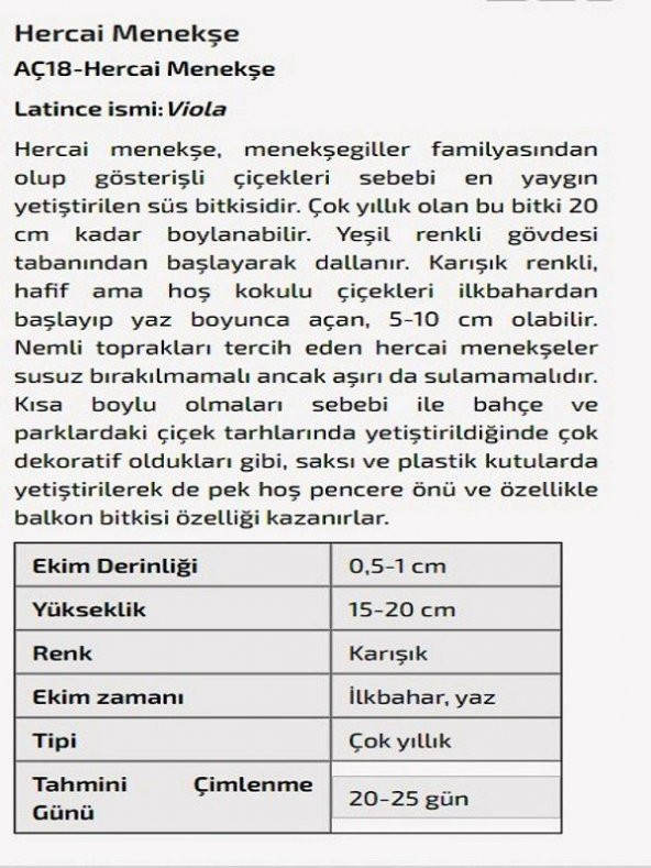 Hercai Menekşe Çiçeği Tohumu - Resim 2