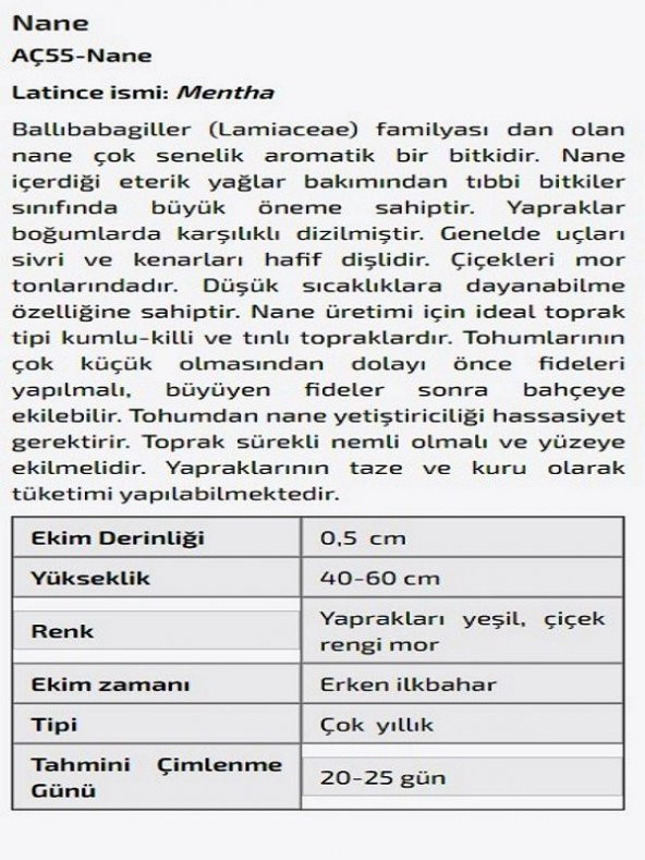 Nane Çiçeği Tohumu - Resim 2