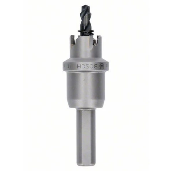 Bosch Tct Elmas Uçlu Panç 17mm - 2608594128 ürün görseli 1