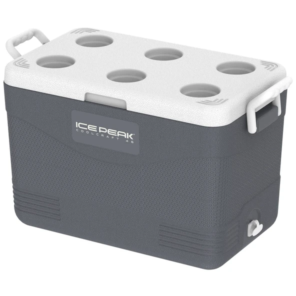 IcePeak CoolCraft 46 Buzluk 41.6 Litre-FÜME ürün görseli 1