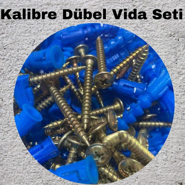 Kalibreli Dübel ve Vida Seti 100 Adet – Pul Başlı. 8mm Dübel ürün görseli 1