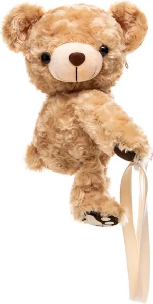 Ayı Teddy Omuz Çantası 20cm ürün görseli 1