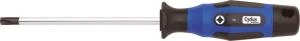 Cyclus Tools T25 Torx Tornavidası TX25x100 720530 ürün görseli 1