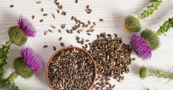Deve Dikeni Tohumu 1 kg Yeni Mahsül ürün görseli 1