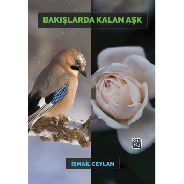 Bakışlarda Kalan Aşk - İsmail Ceylan ürün görseli 1