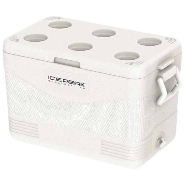 IcePeak CoolCraft 46 Buzluk 41.6 Litre Beyaz - Resim 2