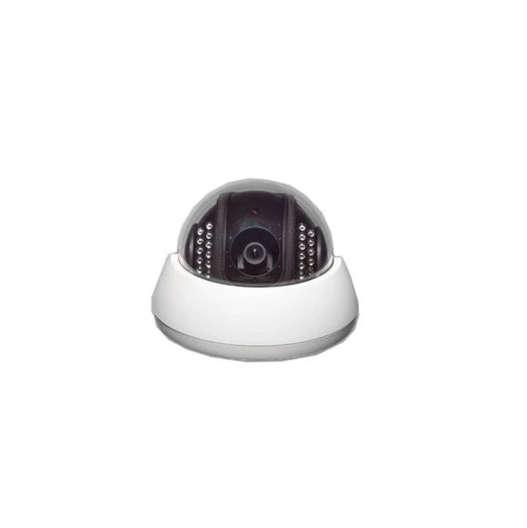 BL 806 SL 1/3 SONY SUPER HAD CCD 480 TV Line Profesyonel IR Gece Görüş Dome Kamera ürün görseli 1