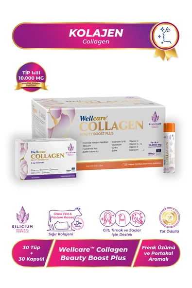 Wellcare Collagen Beauty Boost Plus Likit Frenk Üzümü-portakal Aromalı 10.000 Mg - 30 Likit Tüp 30 Kapsül ürün görseli 1