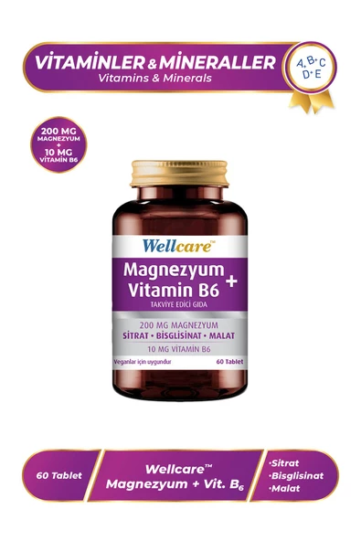 Wellcare Magnezyum Vitamin B6 - 60 Tablet ürün görseli 1