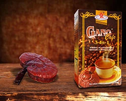 Ganocafe 3 In 1 Ganoderma Mantarlı Kahve ürün görseli 1