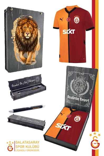 Galatasaray Orijinal Lisanslı 24/25 Parçalı Forma Premium Uçlu Kalem Set Aslan Baskılı Ahşap Kutulu ürün görseli 1