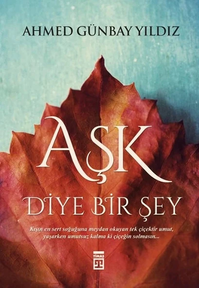 Aşk Diye Bir Şey ürün görseli 1