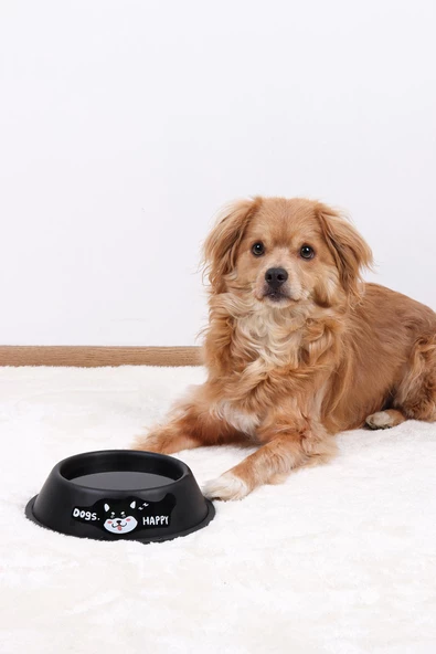 RENKli Metal Mama Kabı, Kedi Köpek Mama Su Kabı 20 cm ürün görseli 1