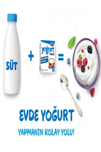 vivo Yoğurt Mayası - Resim 2