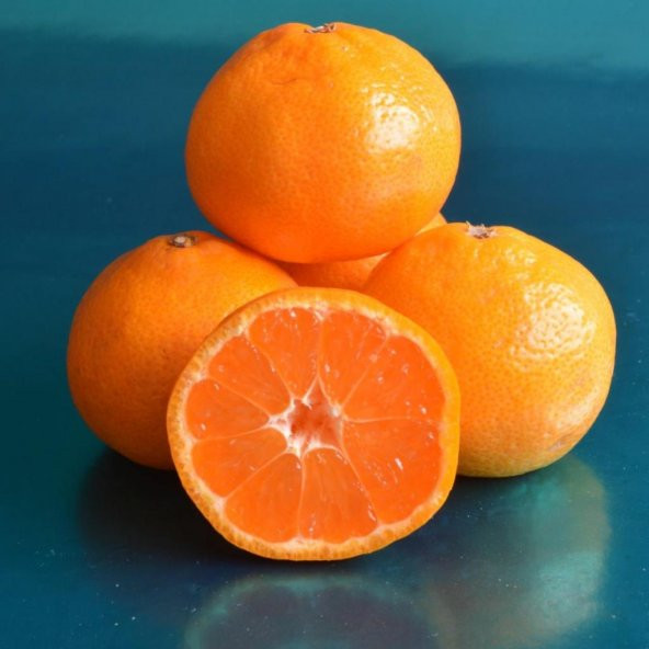 Tüplü Aşılı Çekirdeksiz Ovari Mandalina Fidanı ürün görseli 1