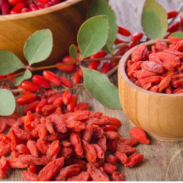 Tüplü Goji Berry Kurt Üzümü Fidanı (10 Adet) ürün görseli 1