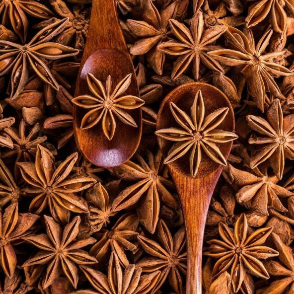 Naturel Anason Tohumu(100 adet) ürün görseli 1