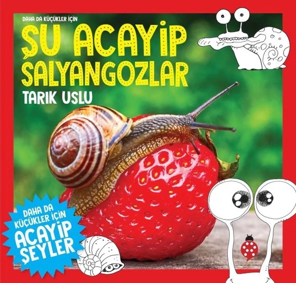 Daha Küçükler İçin Şu Acayip Salyangozlar ürün görseli 1