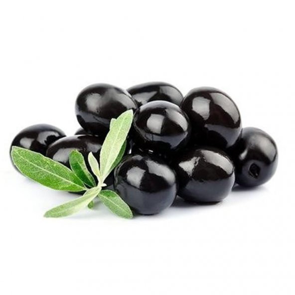 Tüplü Gemlik Trilye Zeytin Fidanı ürün görseli 1