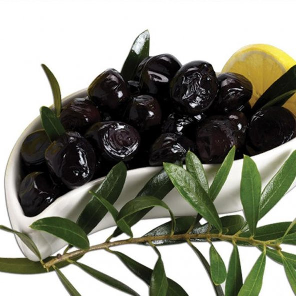Meyve Verme Yaşında Gemlik Zeytin Fidanı (3-4 Yaş) ürün görseli 1