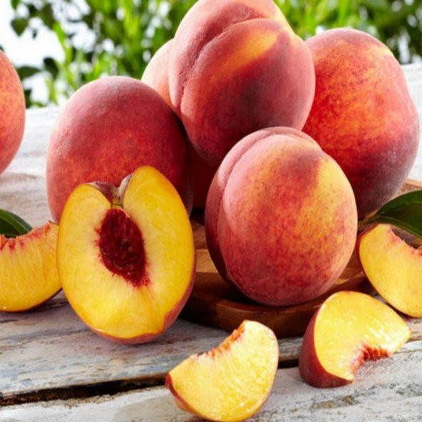 Tüplü Aşılı Özel Aromalı Bol Verimli Carselet Şeftali Fidanı ürün görseli 1