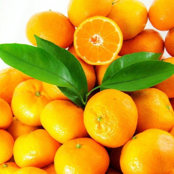 Tüplü Aşılı Bol Verimli Aromalı Sulu Miho Wase Mandalina Fidanı ürün görseli 1