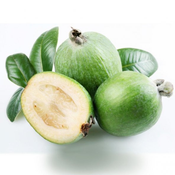 Tüplü Nadir Bulunan Feijoa (Kaymak) Ağacı Fidanı ürün görseli 1