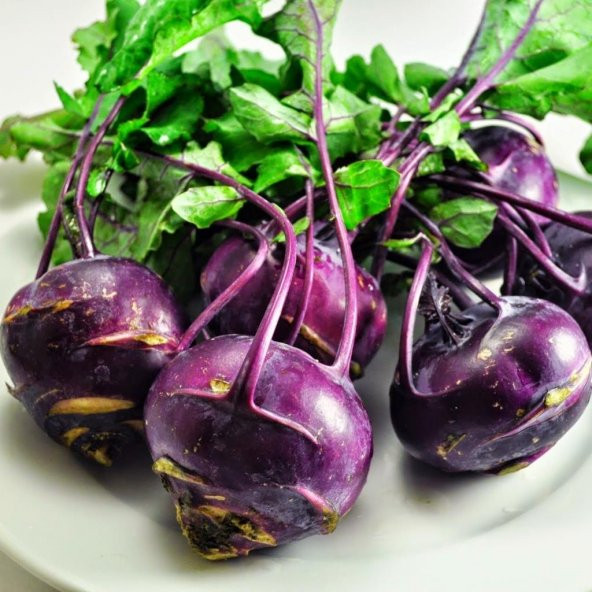 Mor Kohlrabi(Alabaş) Tohumu (20 Tohum) ürün görseli 1