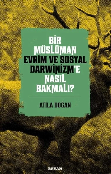 Bir Müslüman Evrim ve Sosyal Darwinizm’e Nasıl Bakmalı? ürün görseli 1