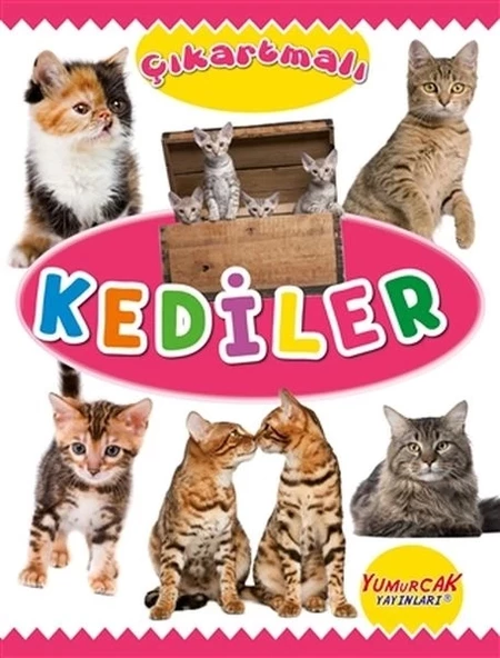 Çıkartmalı Kediler ürün görseli 1