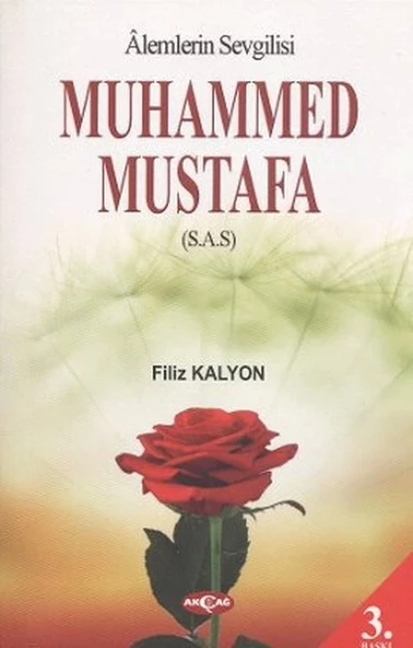 Mevlana ve Mesnevi Gerçeği ürün görseli 1