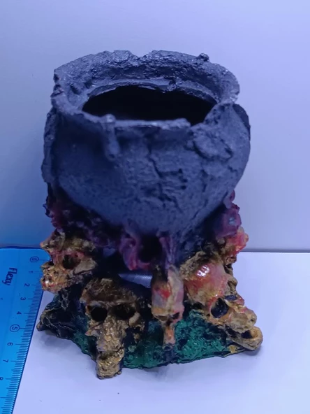 Netx Kazan Kuru Kafa 12x8x12 cm Akvaryum Dekoru ürün görseli 1