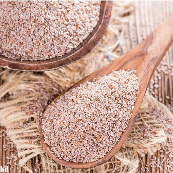 Karnıyarık Tohumu 300 GR Yeni Mahsül  (KATKISIZ) ürün görseli 1
