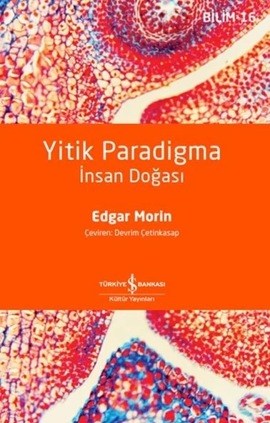 Yitik Paradigma: İnsan Doğası ürün görseli 1