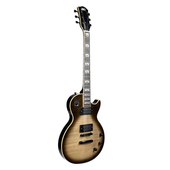 Dmx Guitars DALP200 Antique Silverburst Les Paul Standart Elektro Gitar (Taşıma Çantası Hediyeli) ürün görseli 1