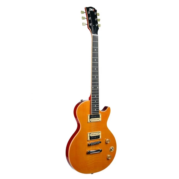 Dmx Guitars DALP100 A Slash AFD Les Paul Elektro Gitar (Taşıma Çantası Hediyeli) ürün görseli 1