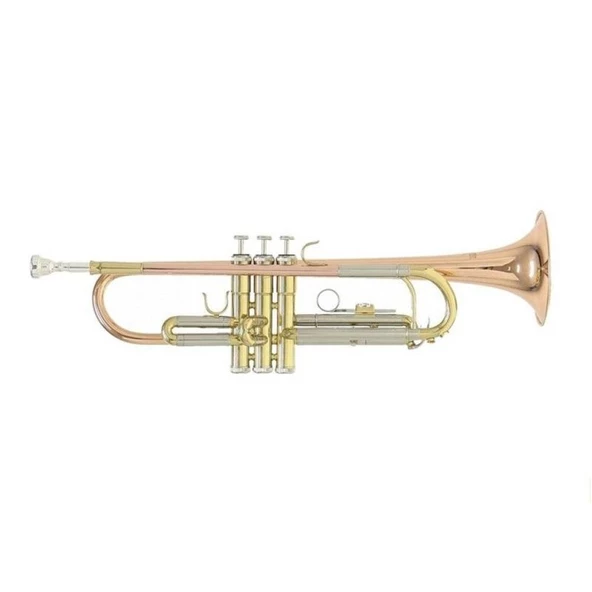 Roy Benson TR-202G  Bb Trompet ürün görseli 1