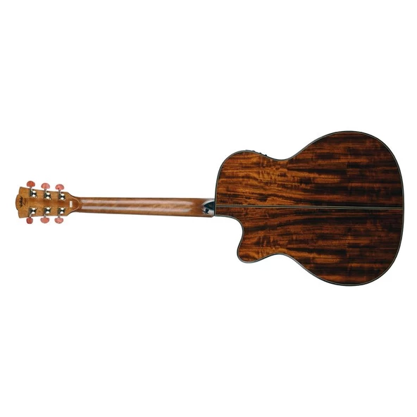 Merida DG-15FOGACES Diana Elektro Akustik Gitar - Resim 6