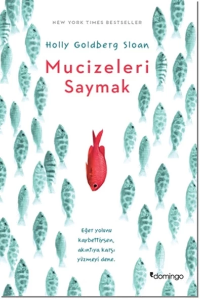 Mucizeleri Saymak ürün görseli 1