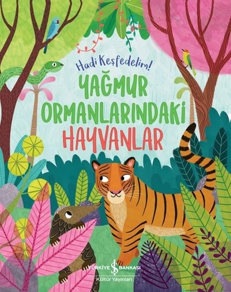 Yağmur Ormanlarındaki Hayvanlar – Hadi Keşfedelim! ürün görseli 1