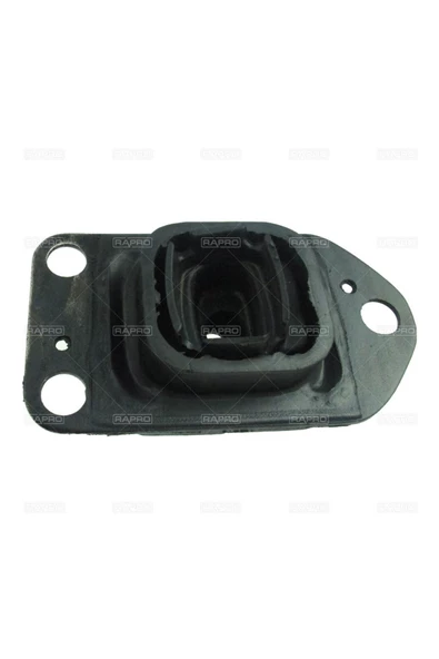 RAPRO SANZIMAN TAKOZU (RENAULT   MEGANE III 2.0 DCI 07--/M9R) ürün görseli 1
