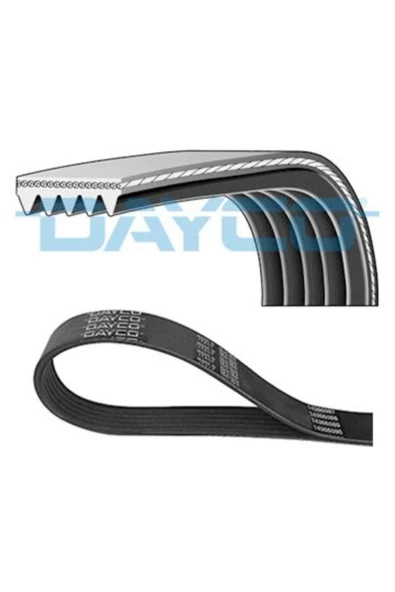 DAYCO Kanallı V Kayısı ürün görseli 1