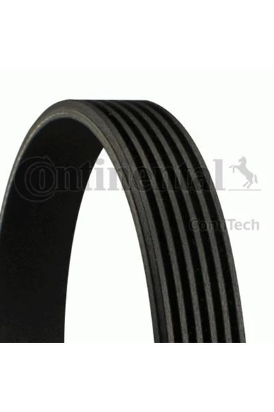 CONTITECH KAYIS (MERCEDES OM611-646-648)6PK2260 ürün görseli 1
