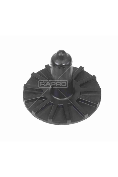 RAPRO AMORTISOR LASTIGI ( ARKA - UST ) (  ) ( RENAULT   KANGOO II  09 -- / ) ürün görseli 1