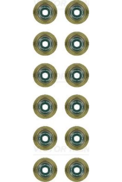 VICTOR REINZ KECE SUPAP (BMW  N52-N53-N54-N55-B46-B48-B38 /6 mm / 12 lı) ürün görseli 1