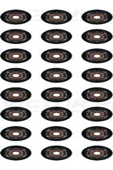 VICTOR REINZ 12-36866-02 Subap Lastigi Set 24 Adet ( Bmw N52 / E87-90-91-60-61-63-64-65-66-z4 E85 ) (WF522216) ürün görseli 1