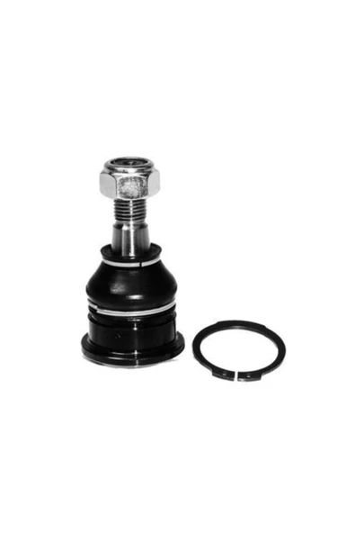 VOTTO Rotıl Alt Prımera P10 90>96 Prımera P10 P11 90>03 Prımera P1 ürün görseli 1