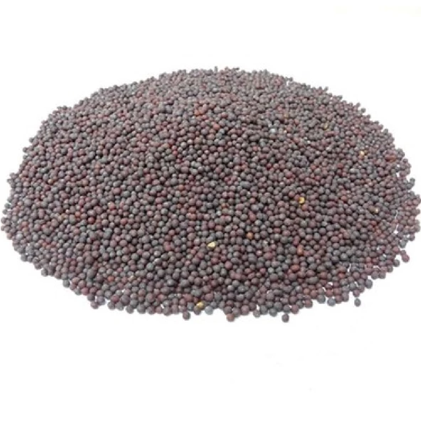 Siyah Hardal Tohumu Tane 50 gr - Resim 3